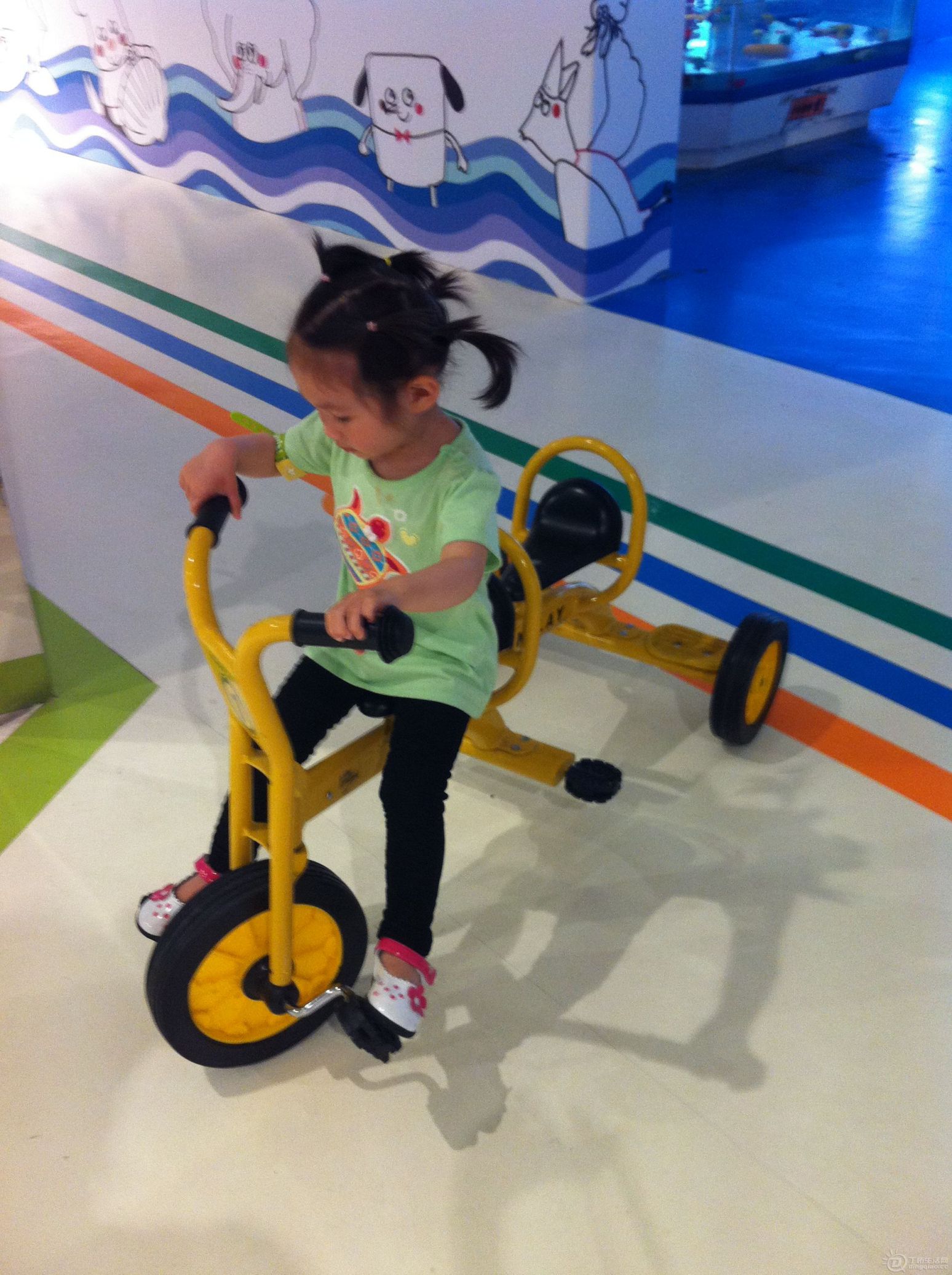IMG_3879.JPG