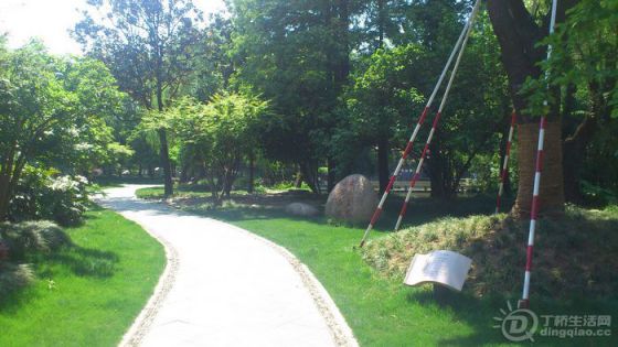 DSC_0010.JPG