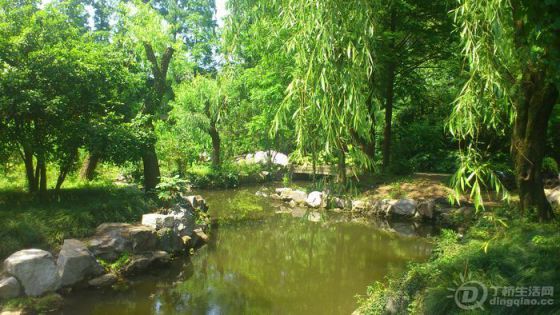 DSC_0011.JPG