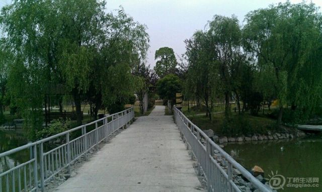 psb (9).jpg