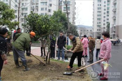 138298937.jpg 138298937.jpg