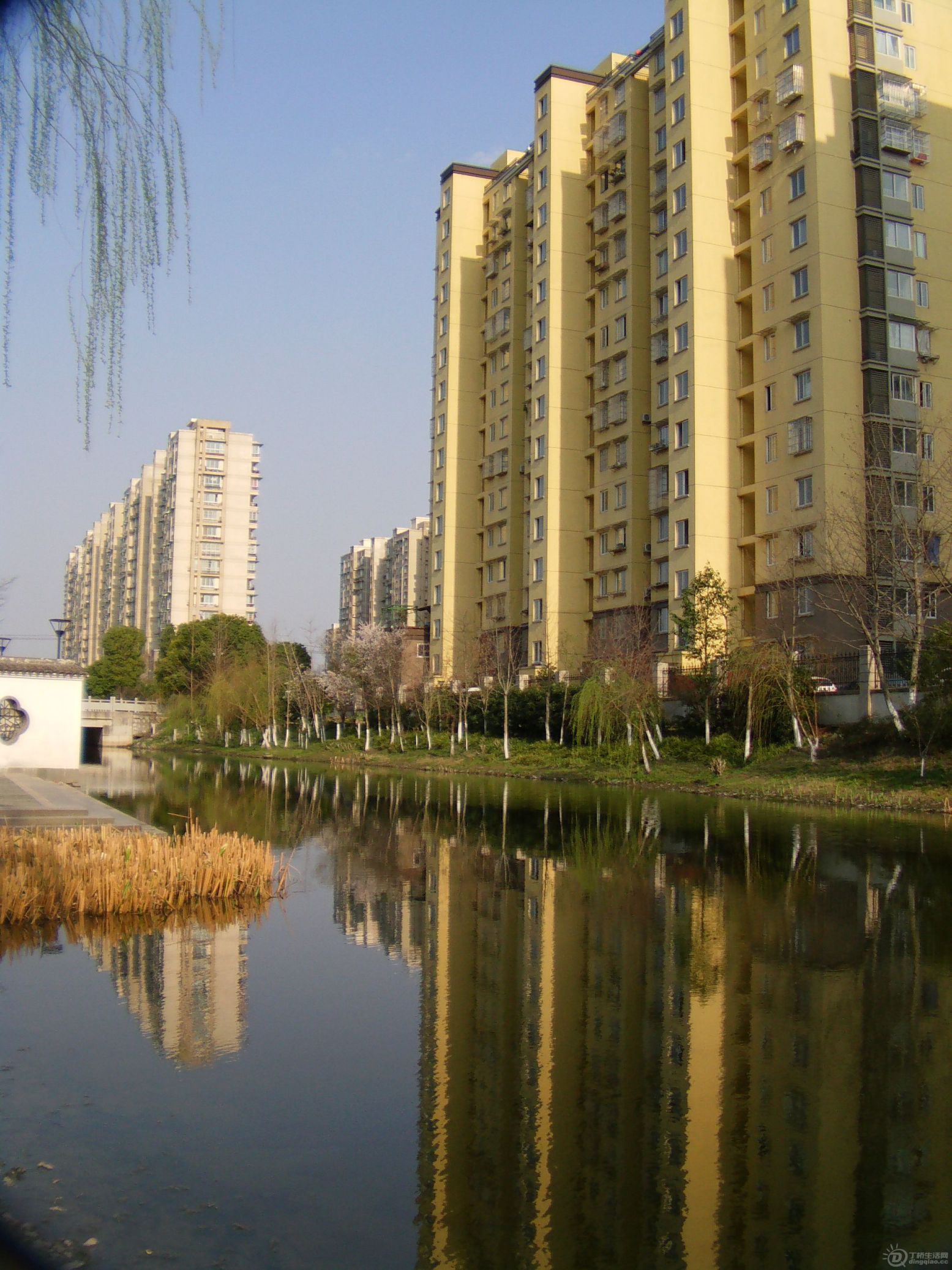 IMAG0004.JPG