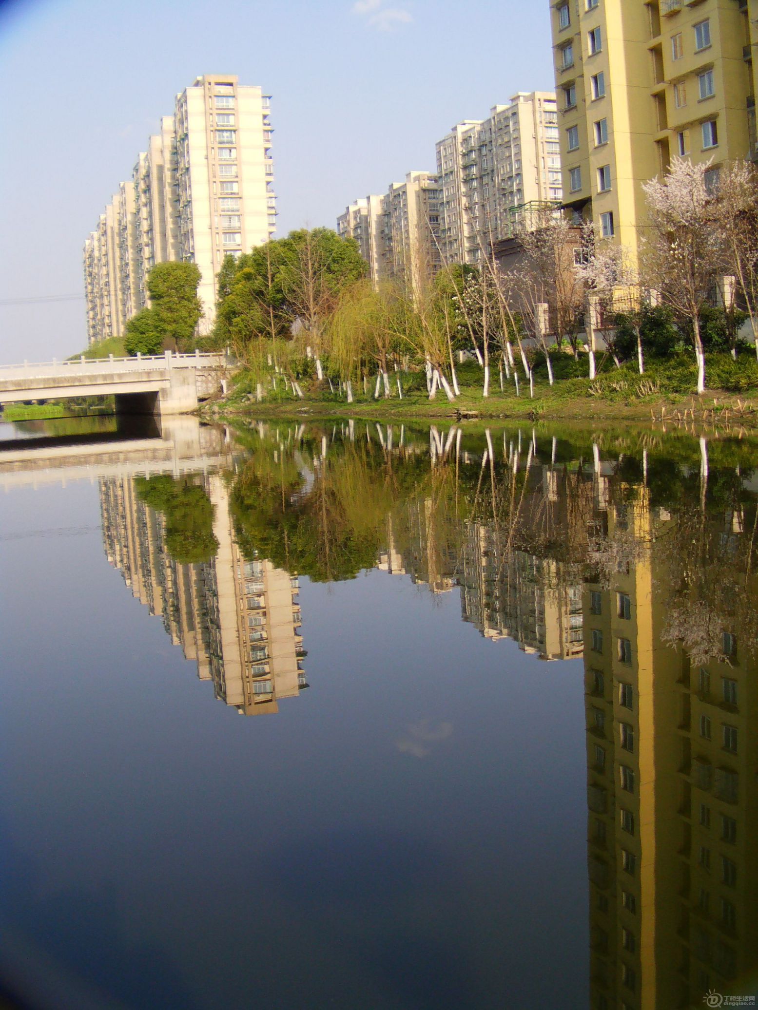 IMAG0006.JPG