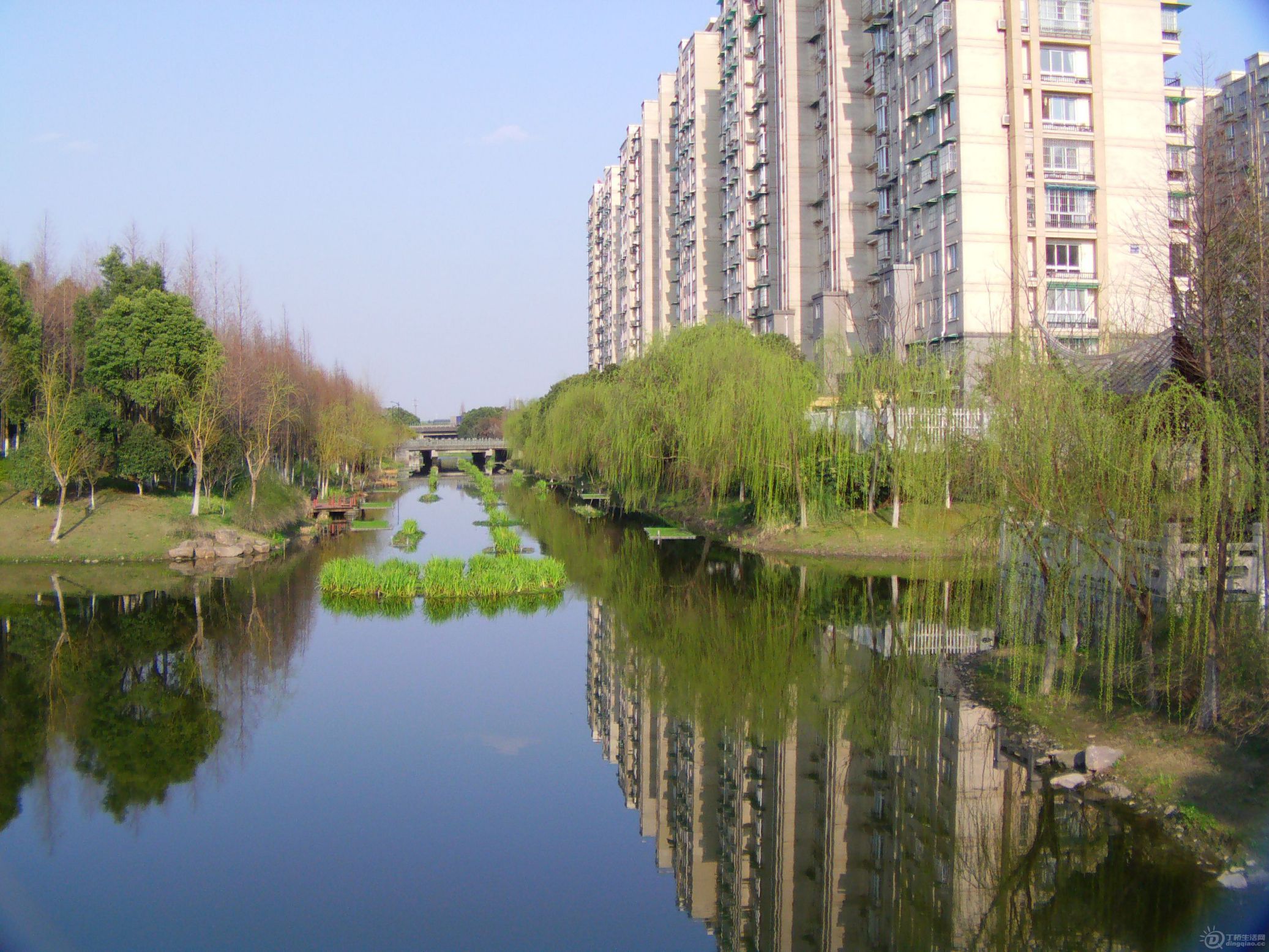 IMAG0008.JPG