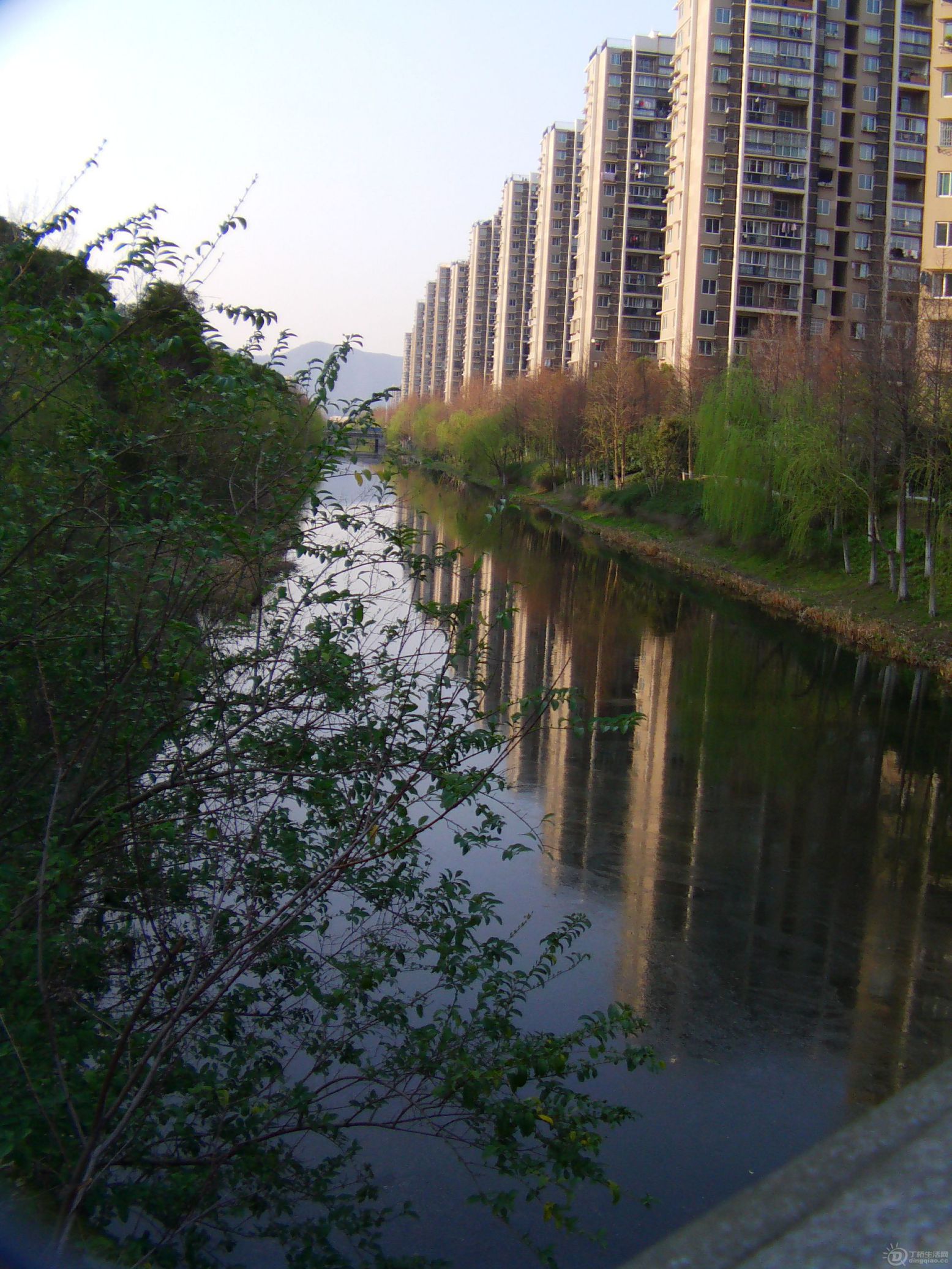 IMAG0036.JPG
