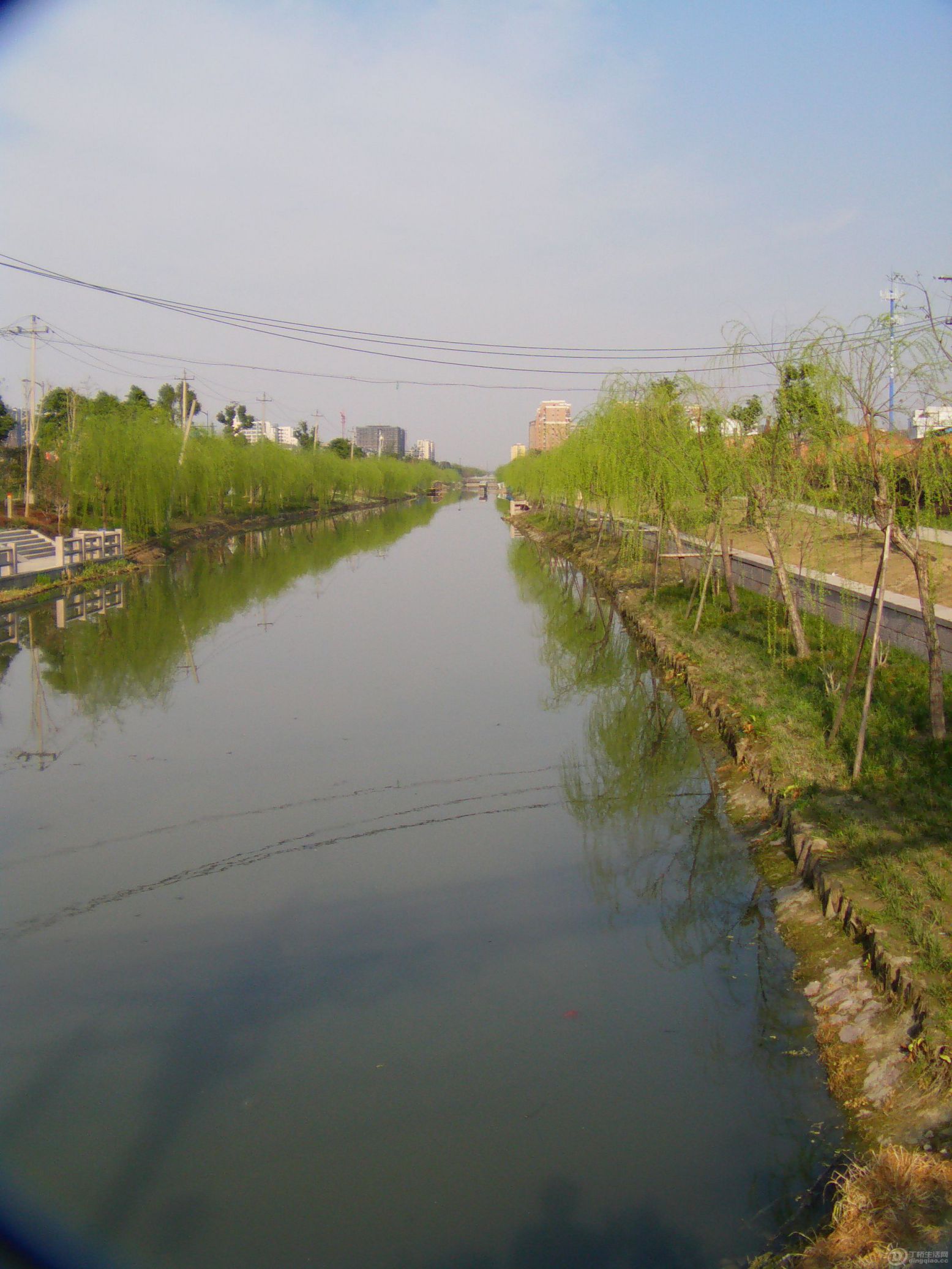 IMAG0043.JPG