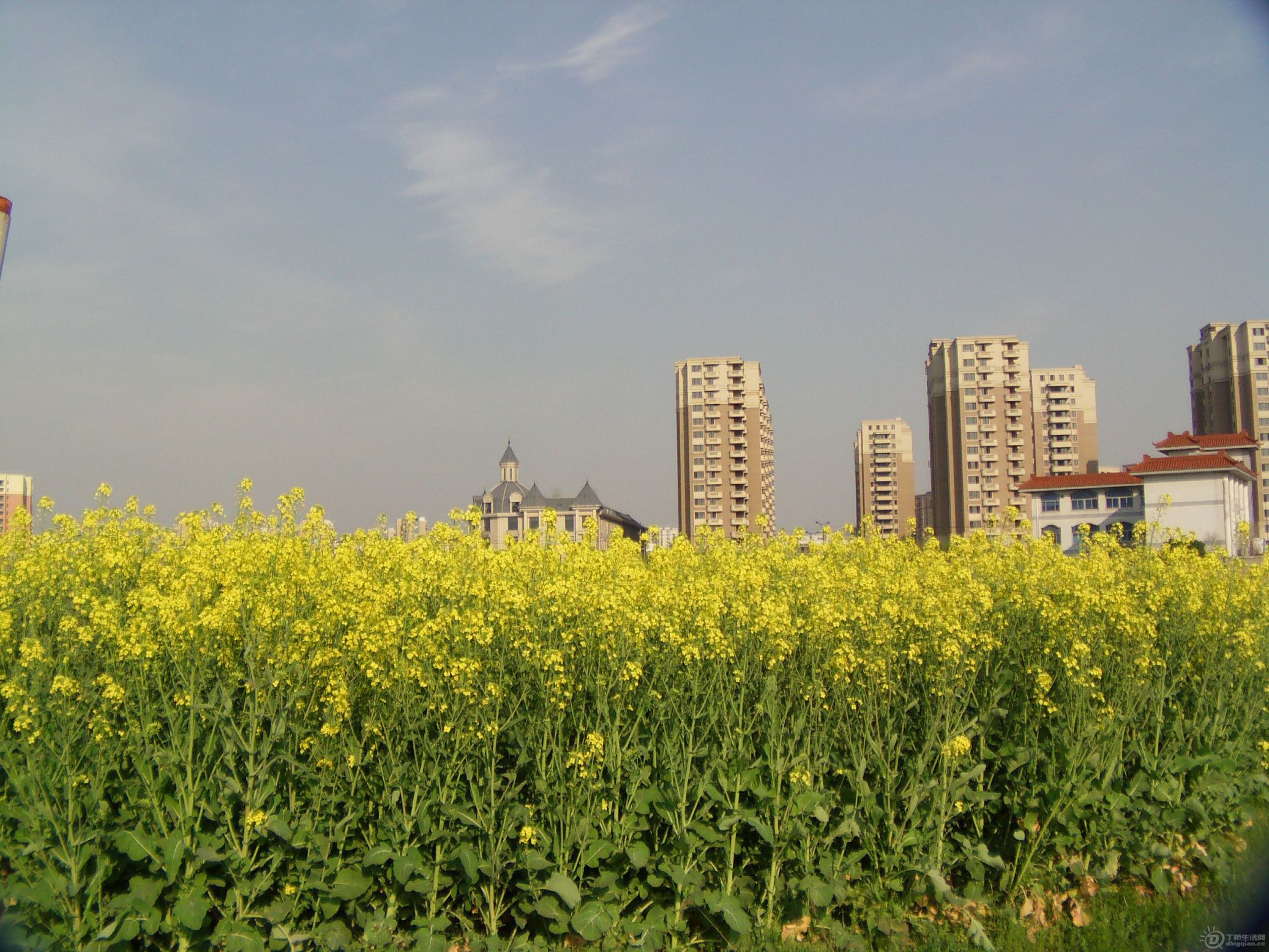 IMAG0050.JPG