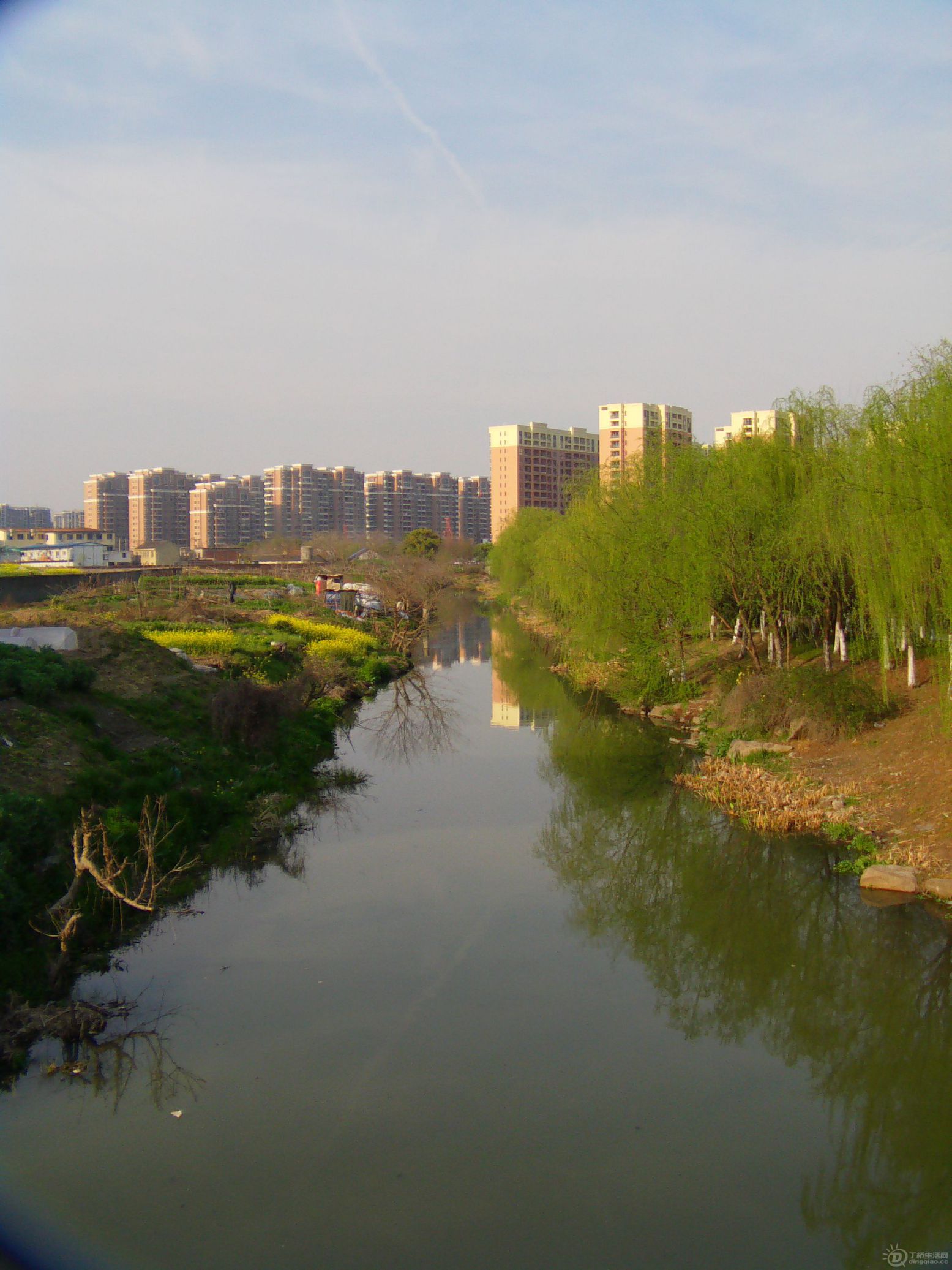 IMAG0074.JPG