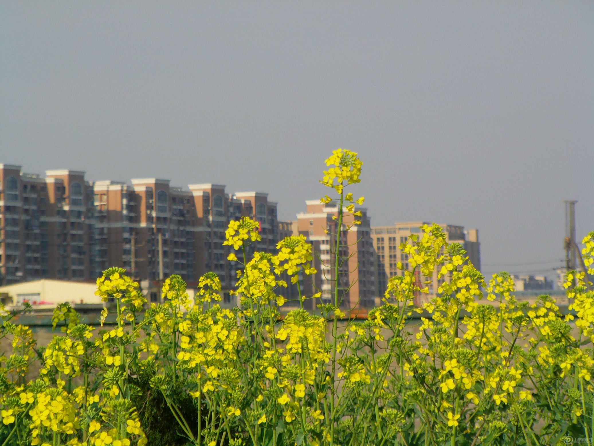 IMAG0055.JPG