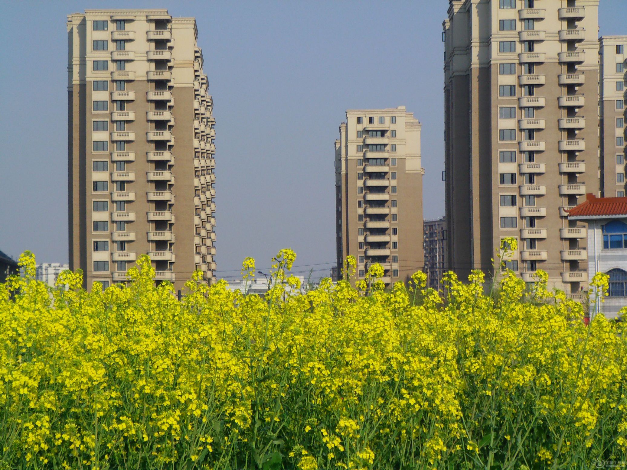 IMAG0058.JPG