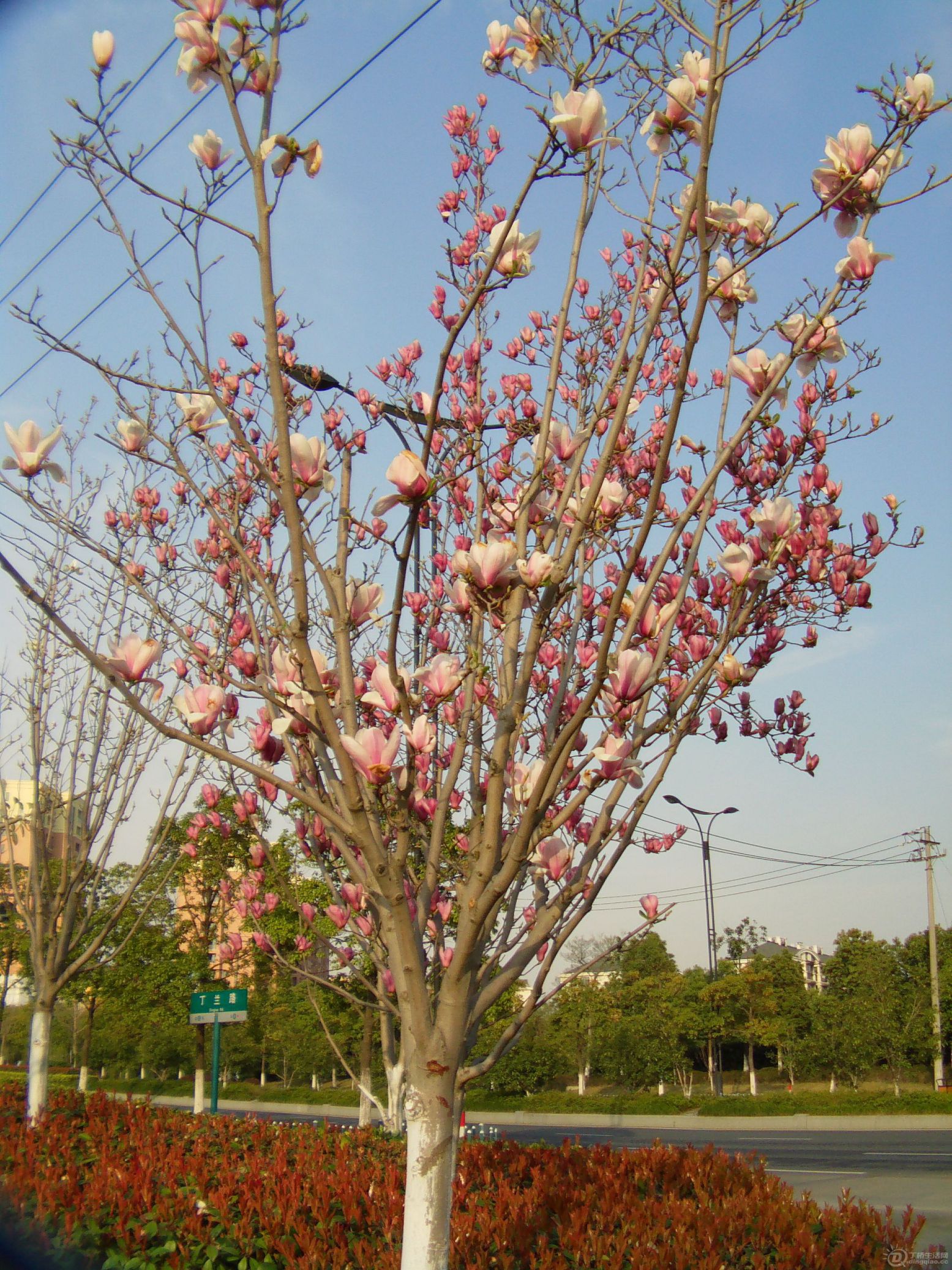 IMAG0086.JPG