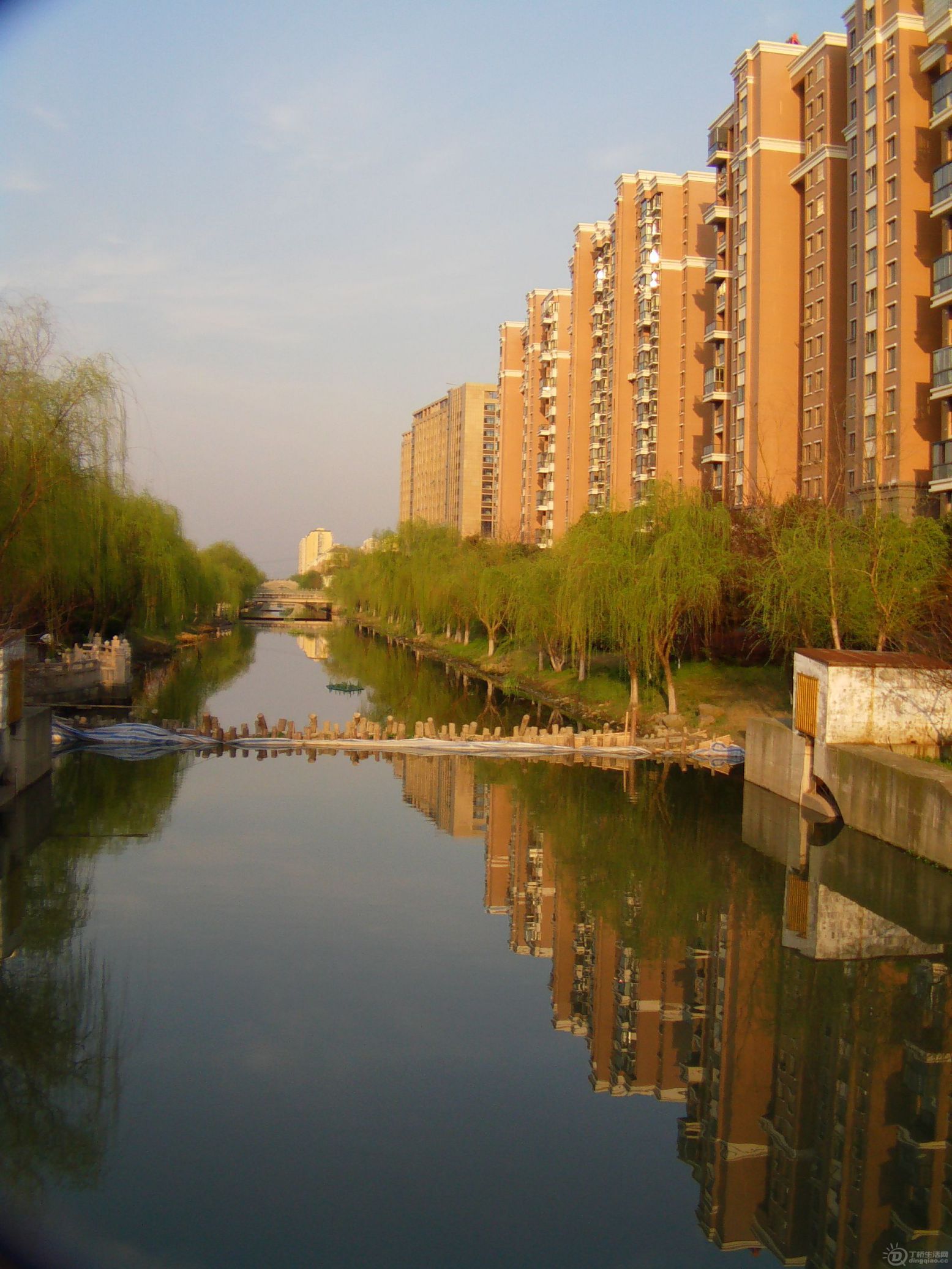 IMAG0100.JPG
