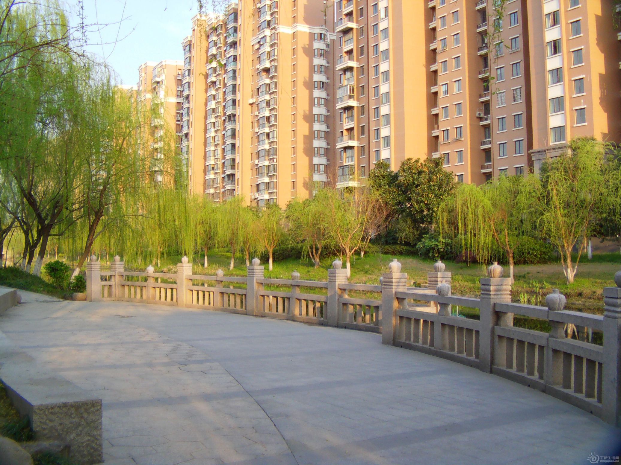 IMAG0103.JPG