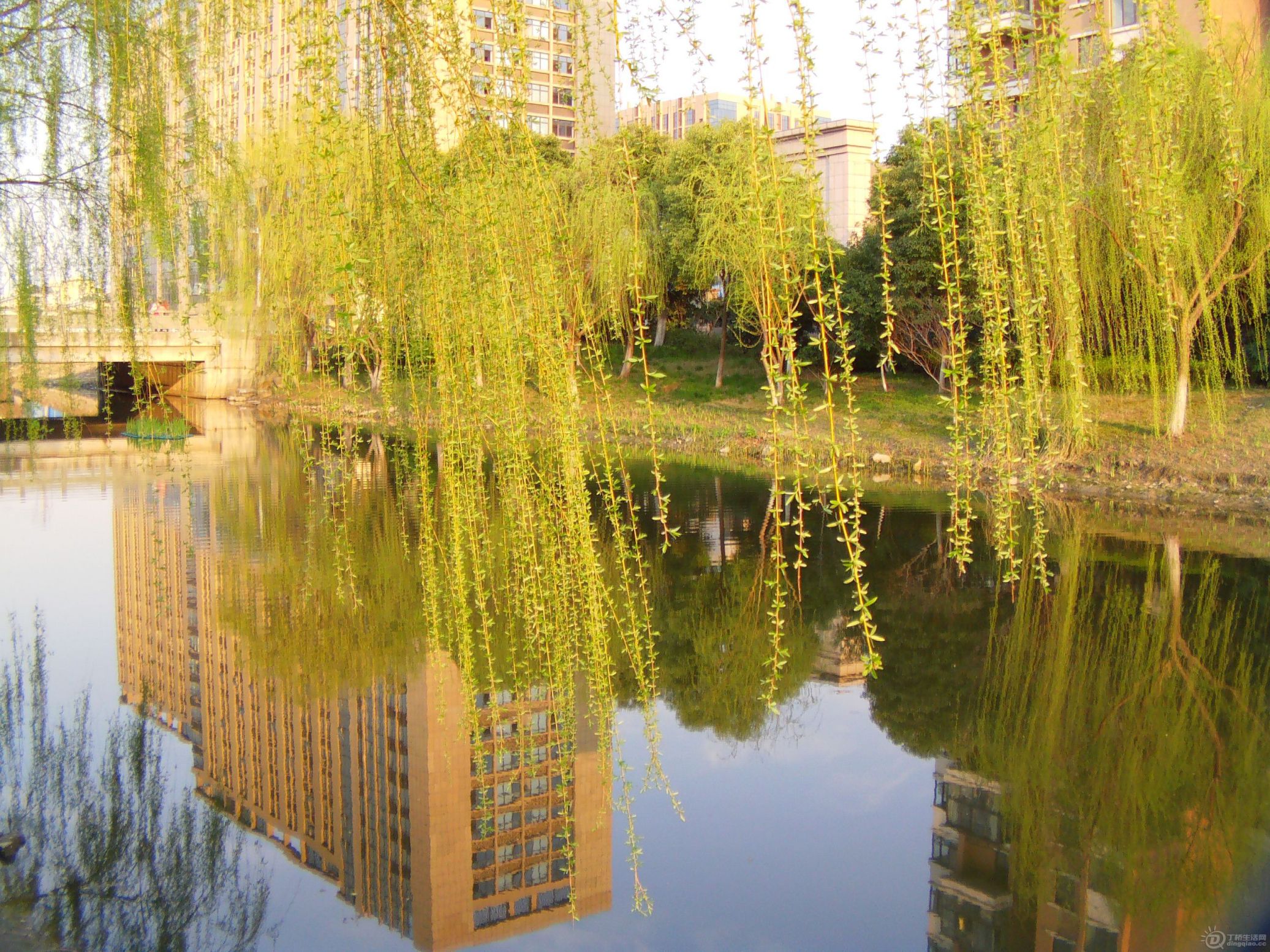 IMAG0107.JPG