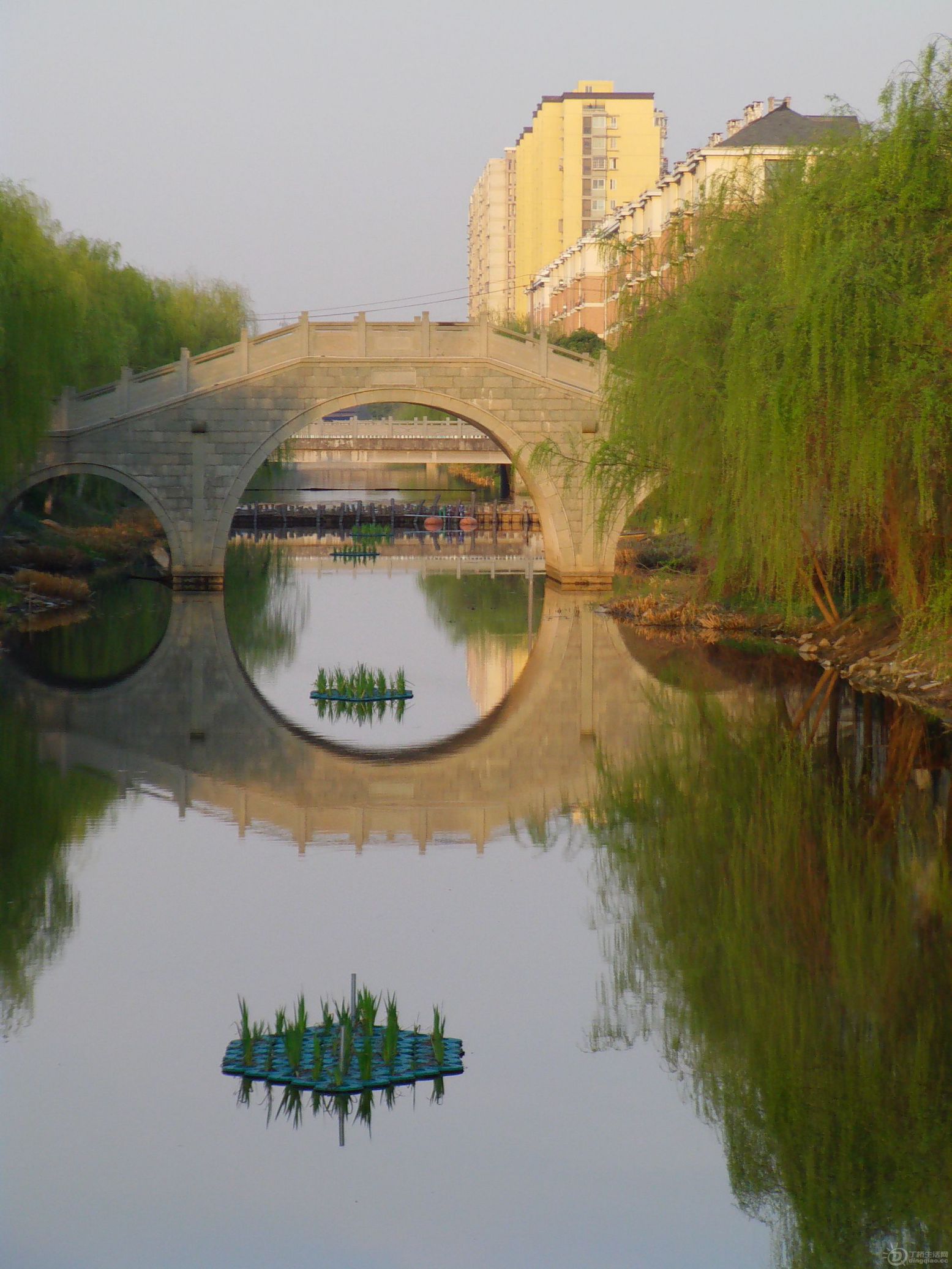 IMAG0115.JPG