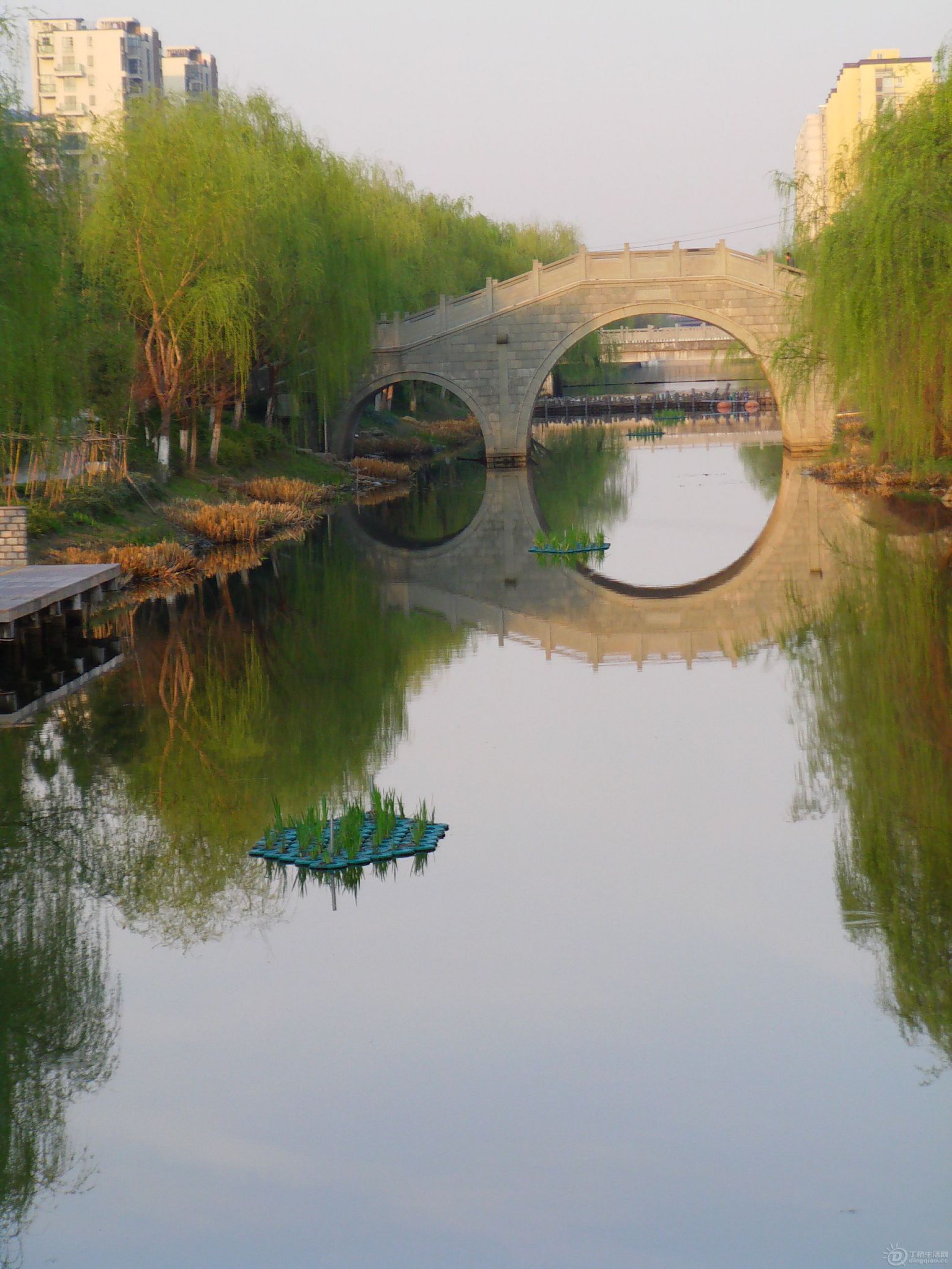 IMAG0116.JPG