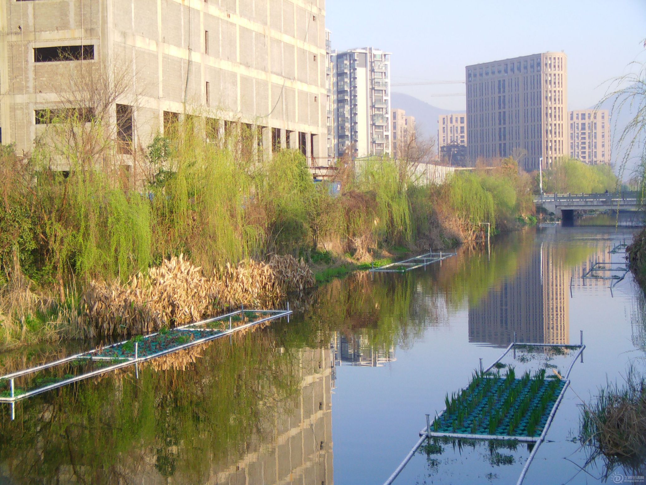 IMAG0140.JPG