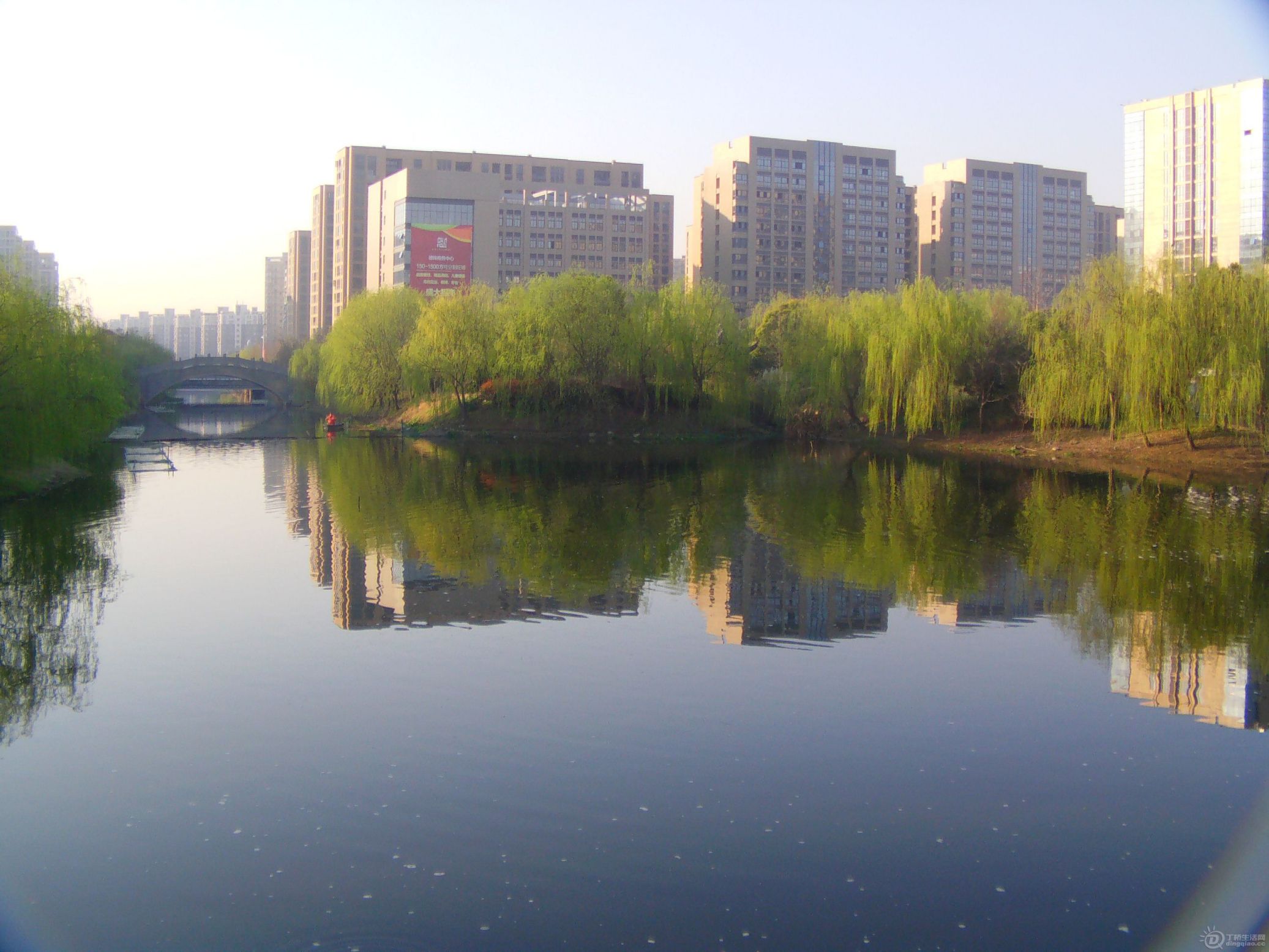 IMAG0142.JPG