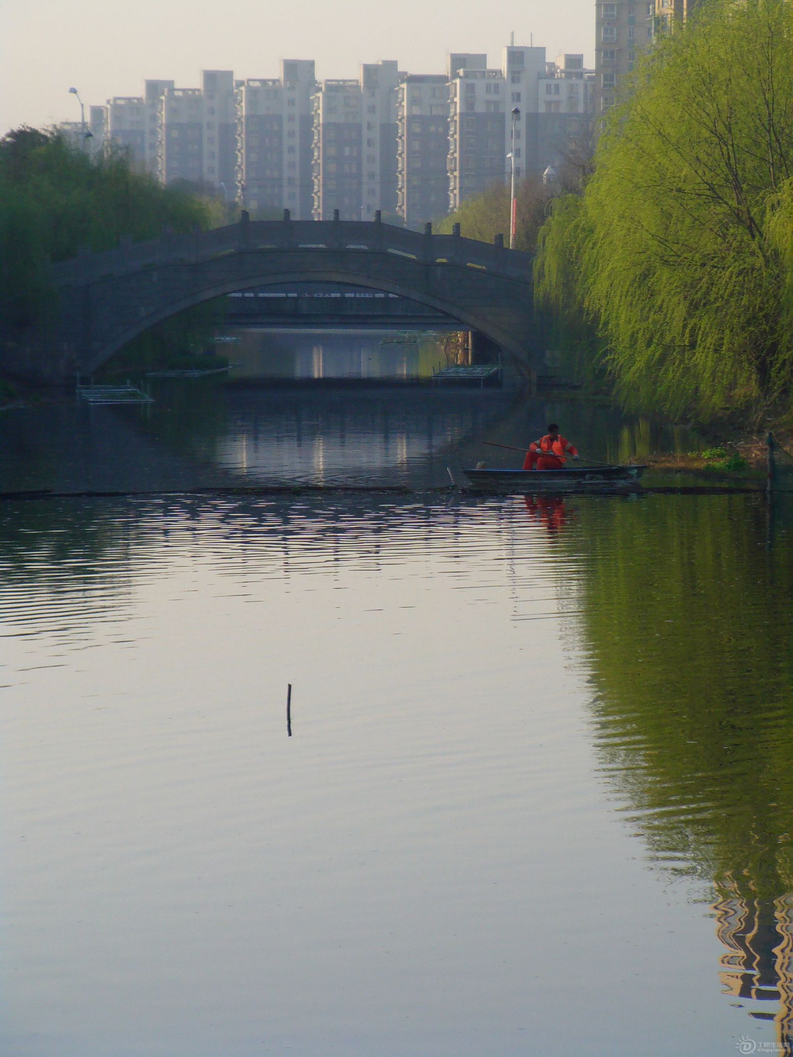 IMAG0144.JPG