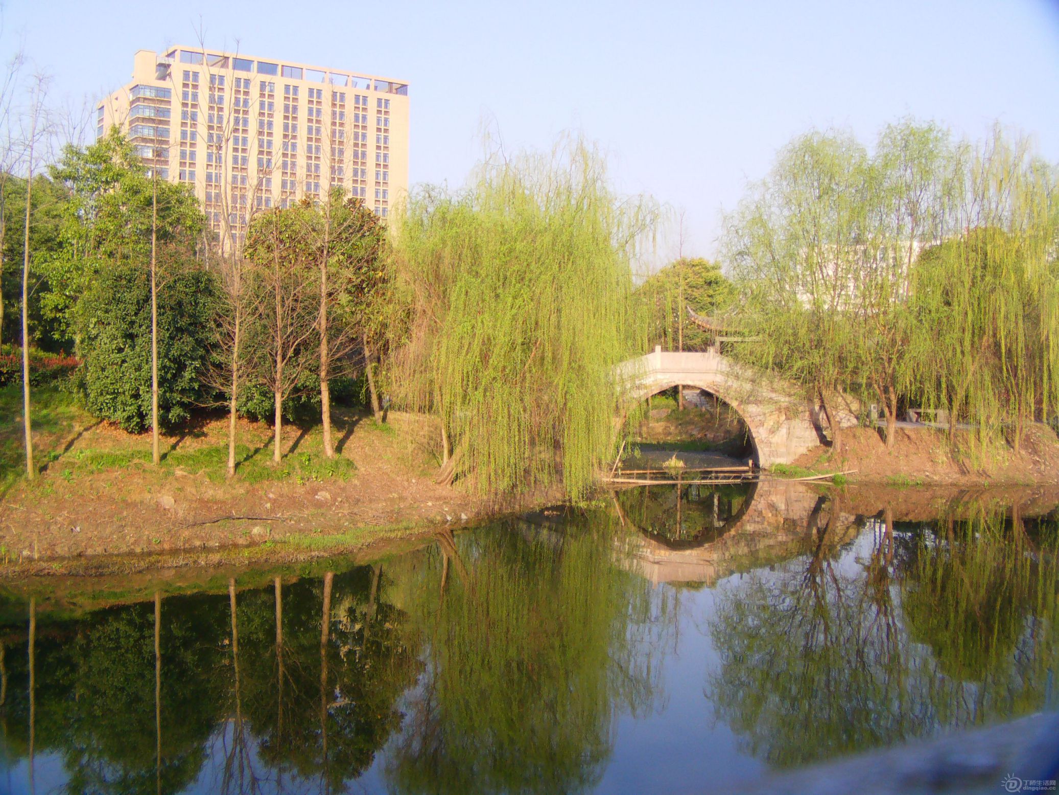 IMAG0163.JPG