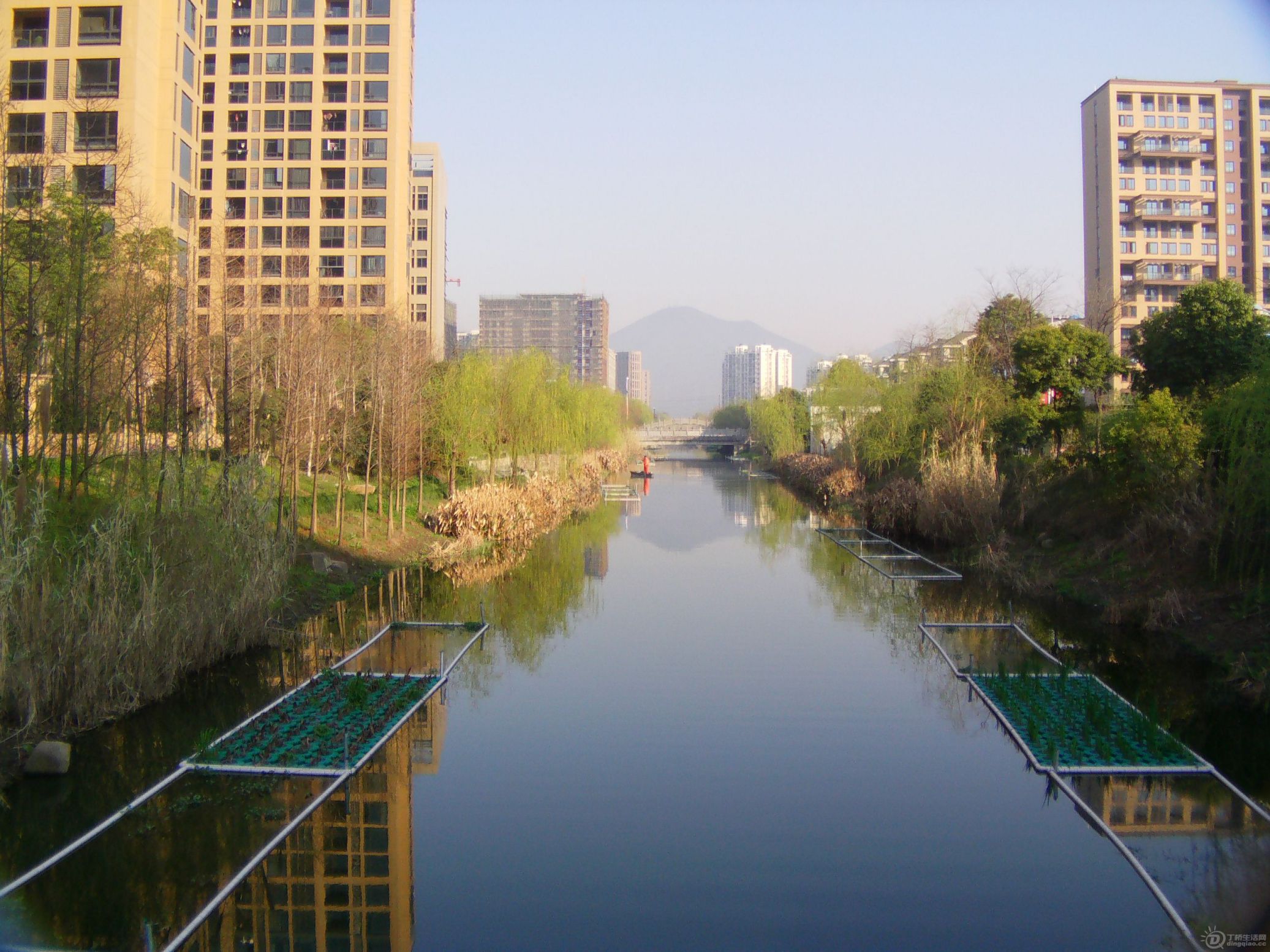 IMAG0178.JPG