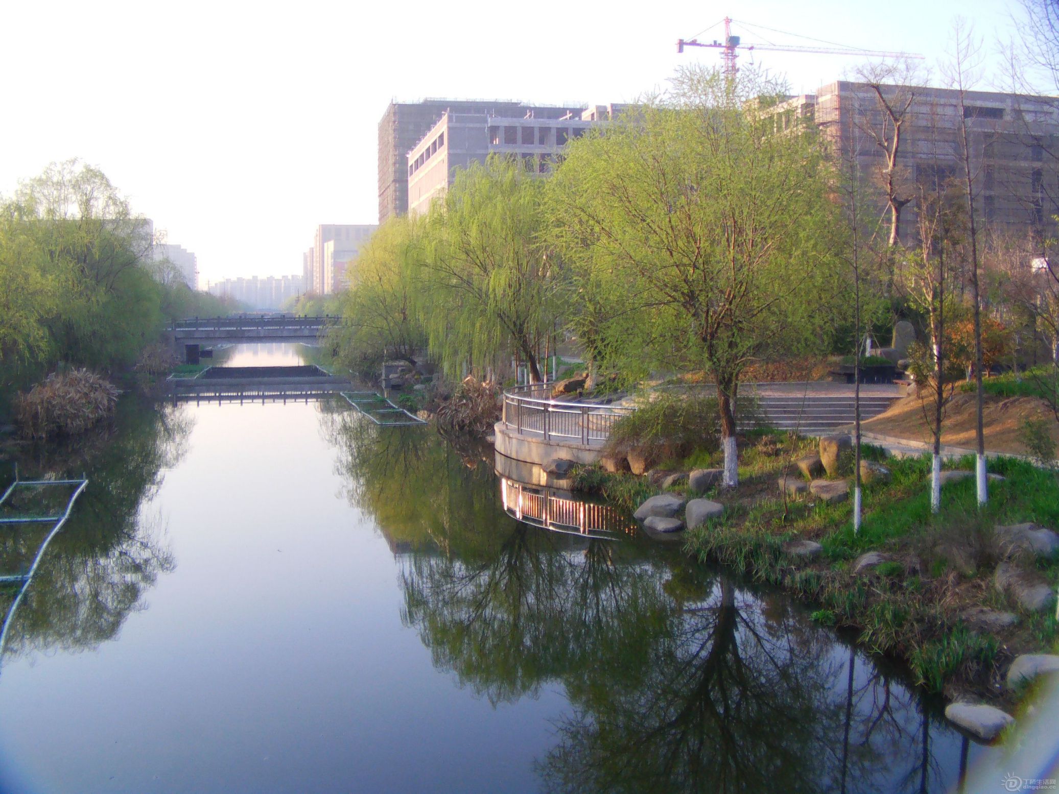 IMAG0123.JPG
