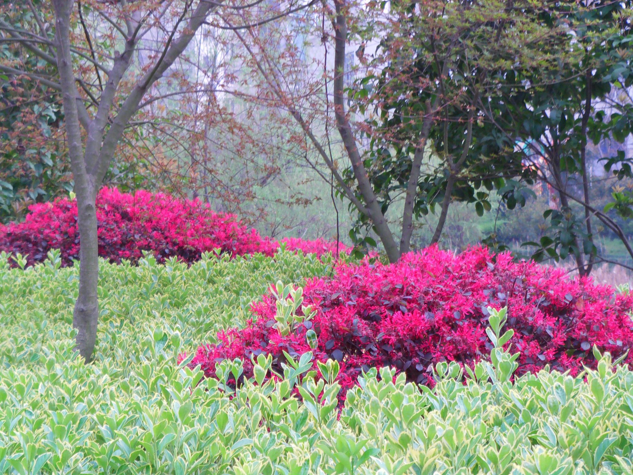 IMAG0082.JPG