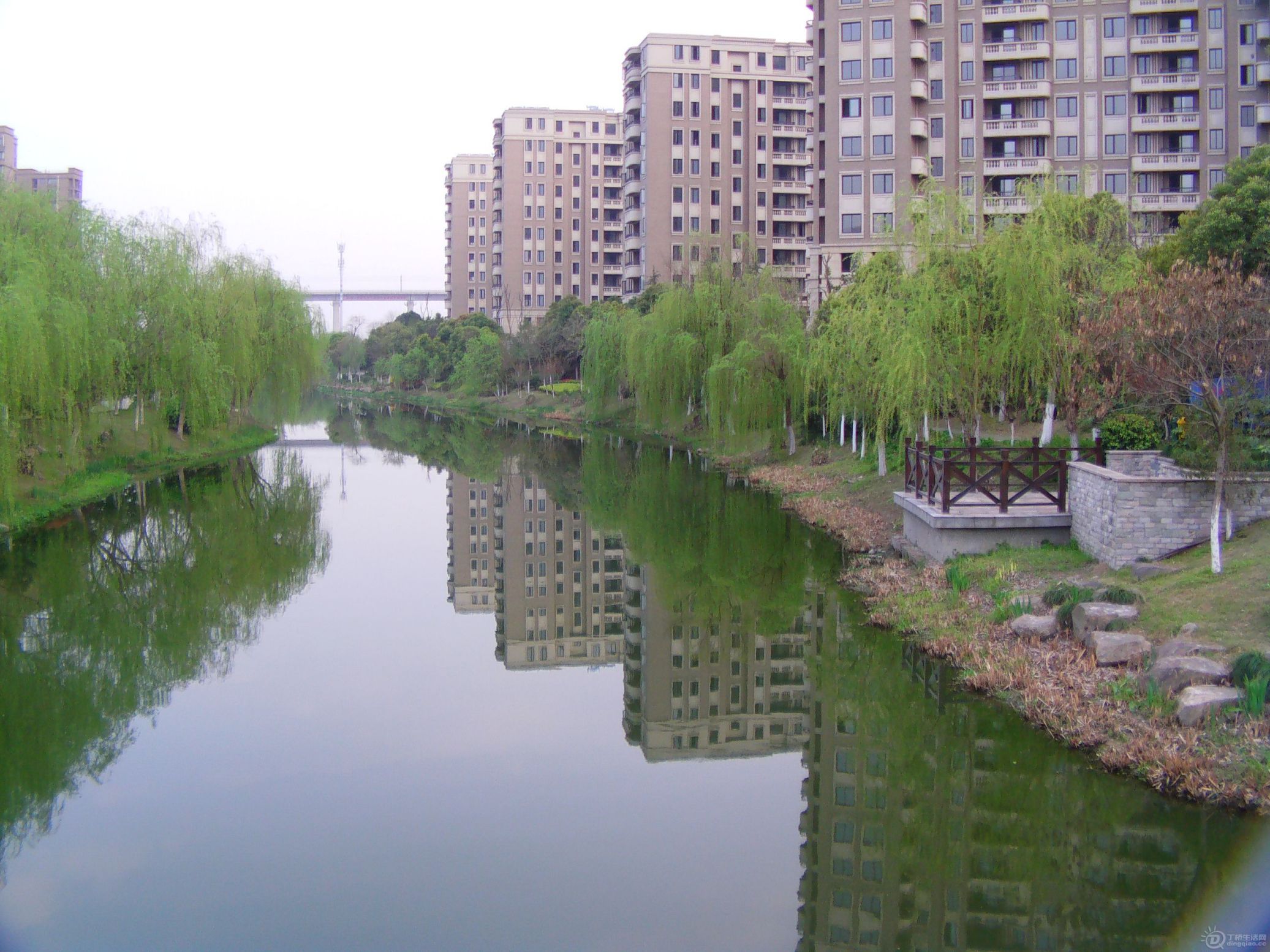 IMAG0038.JPG
