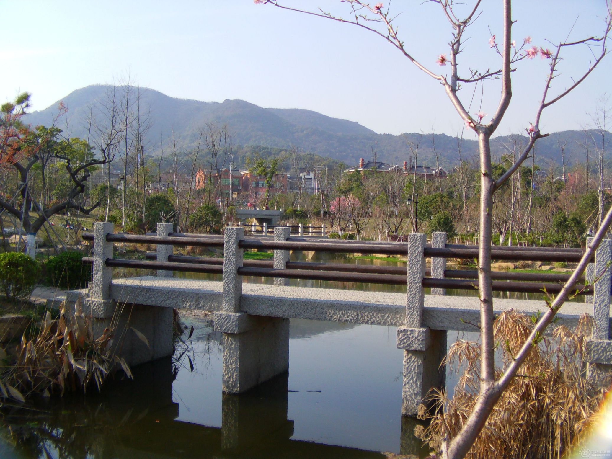 IMAG0272.JPG