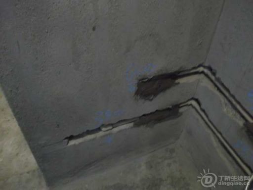 DSCF5067.jpg