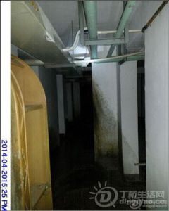 070353r96upttc6uvp998z.jpg