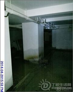 071313yqdij6ljl72lqr7j.jpg