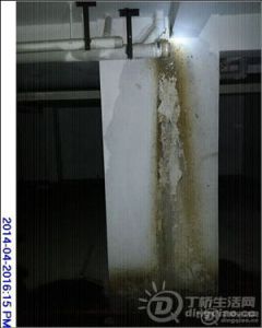 071659q44qlvl54sqkf4k5.jpg