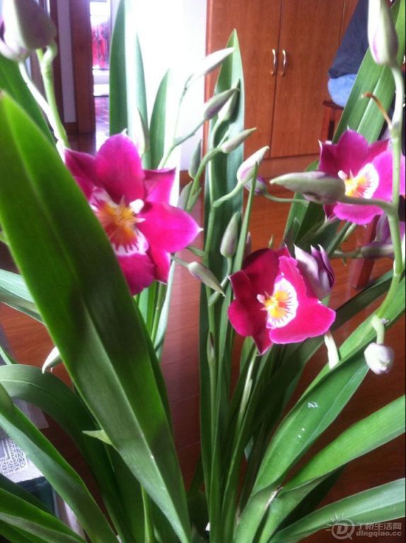 QQͼƬ20140430100252.jpg
