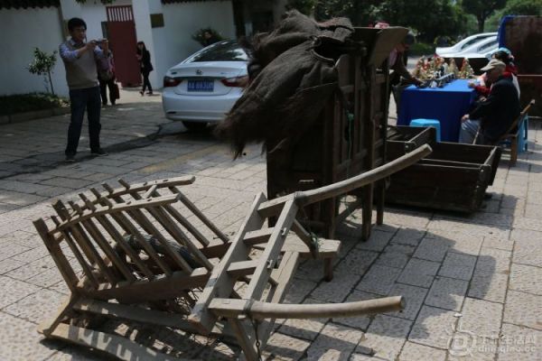 135030kk9g5pkbpikpp5bg.jpg.thumb.jpg