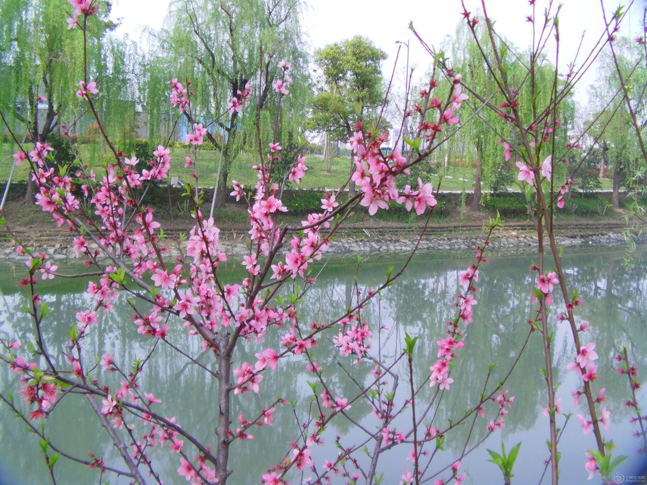 IMAG0225.JPG