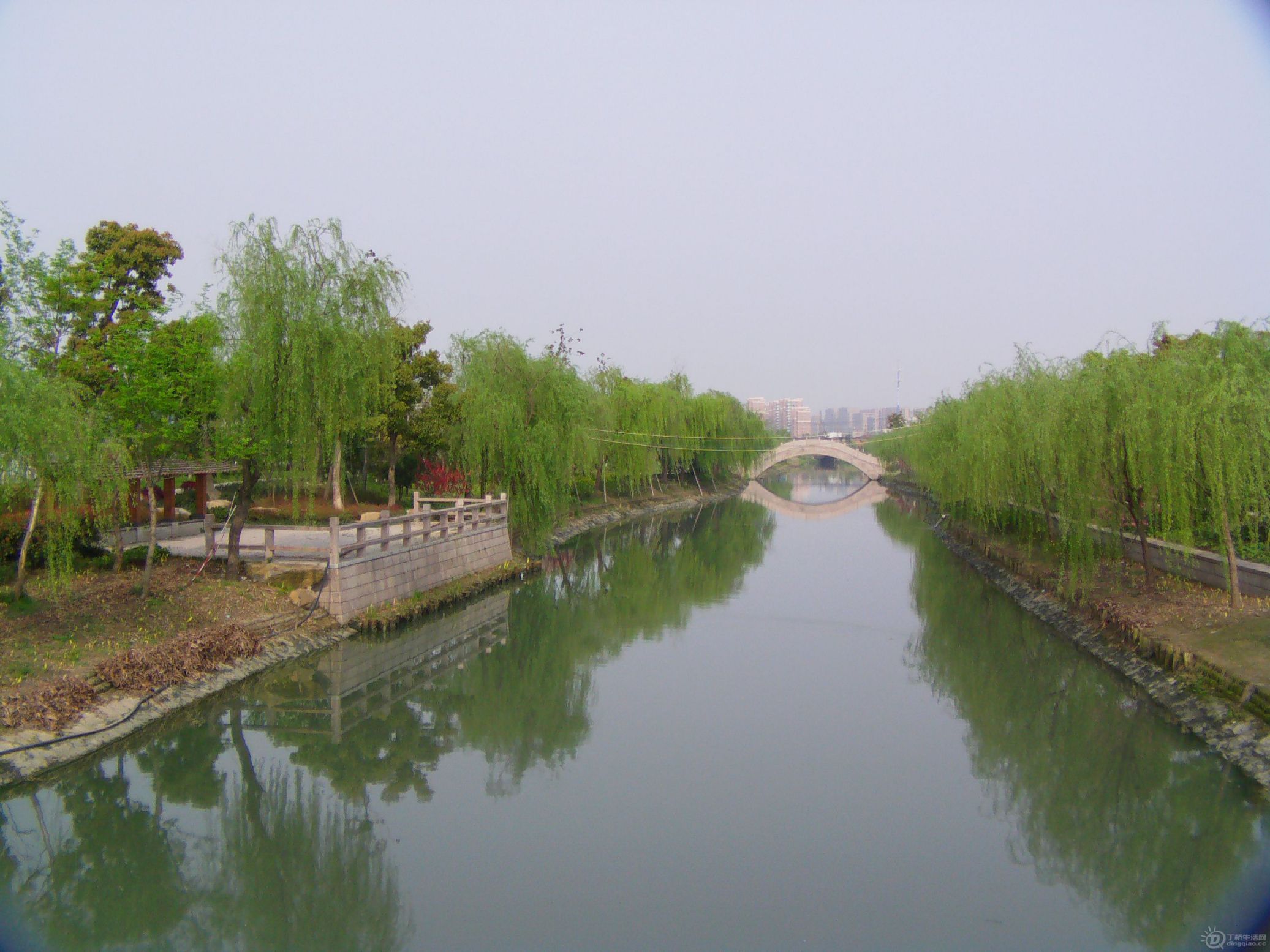 IMAG0222.JPG