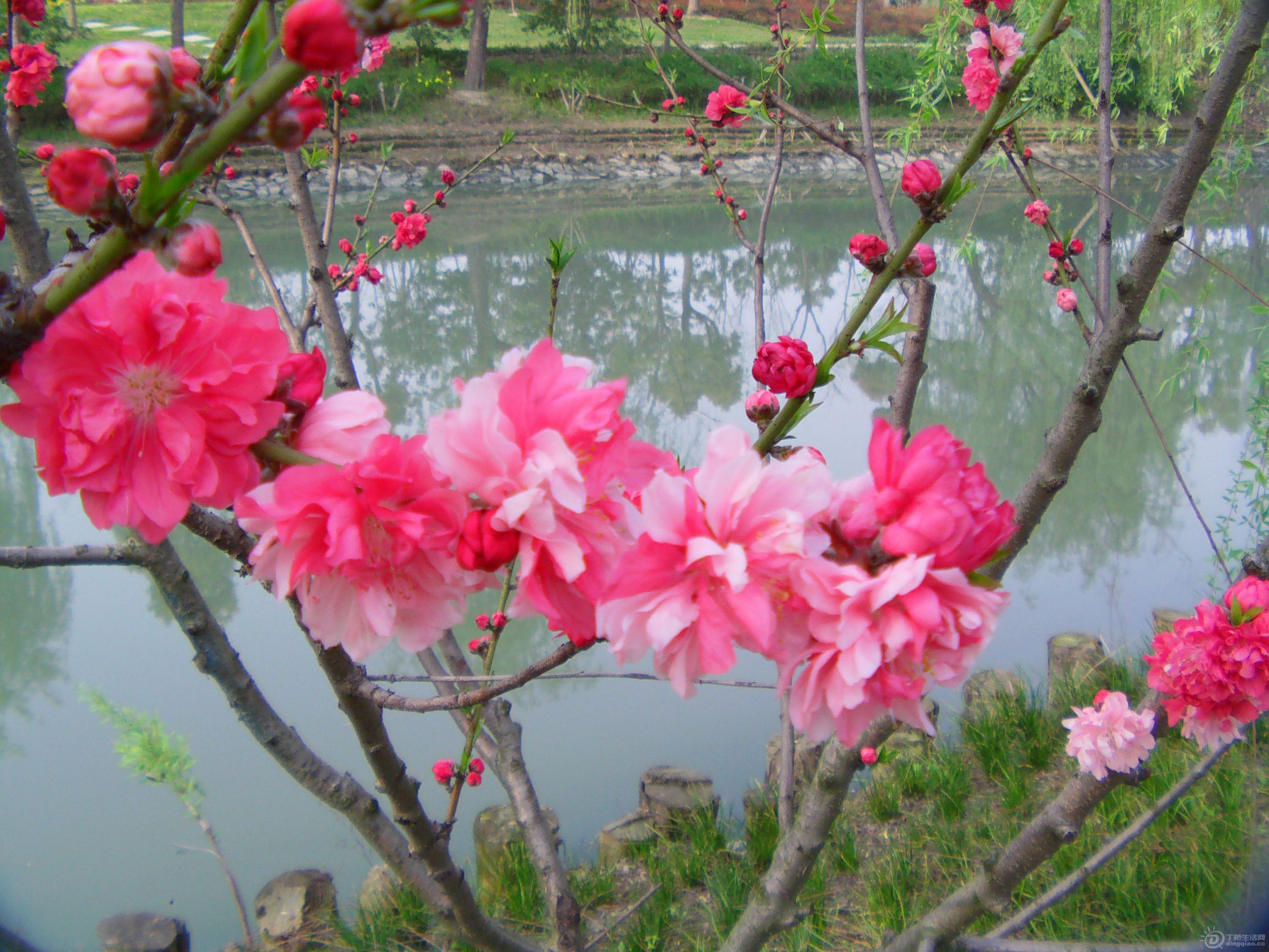 IMAG0228.JPG