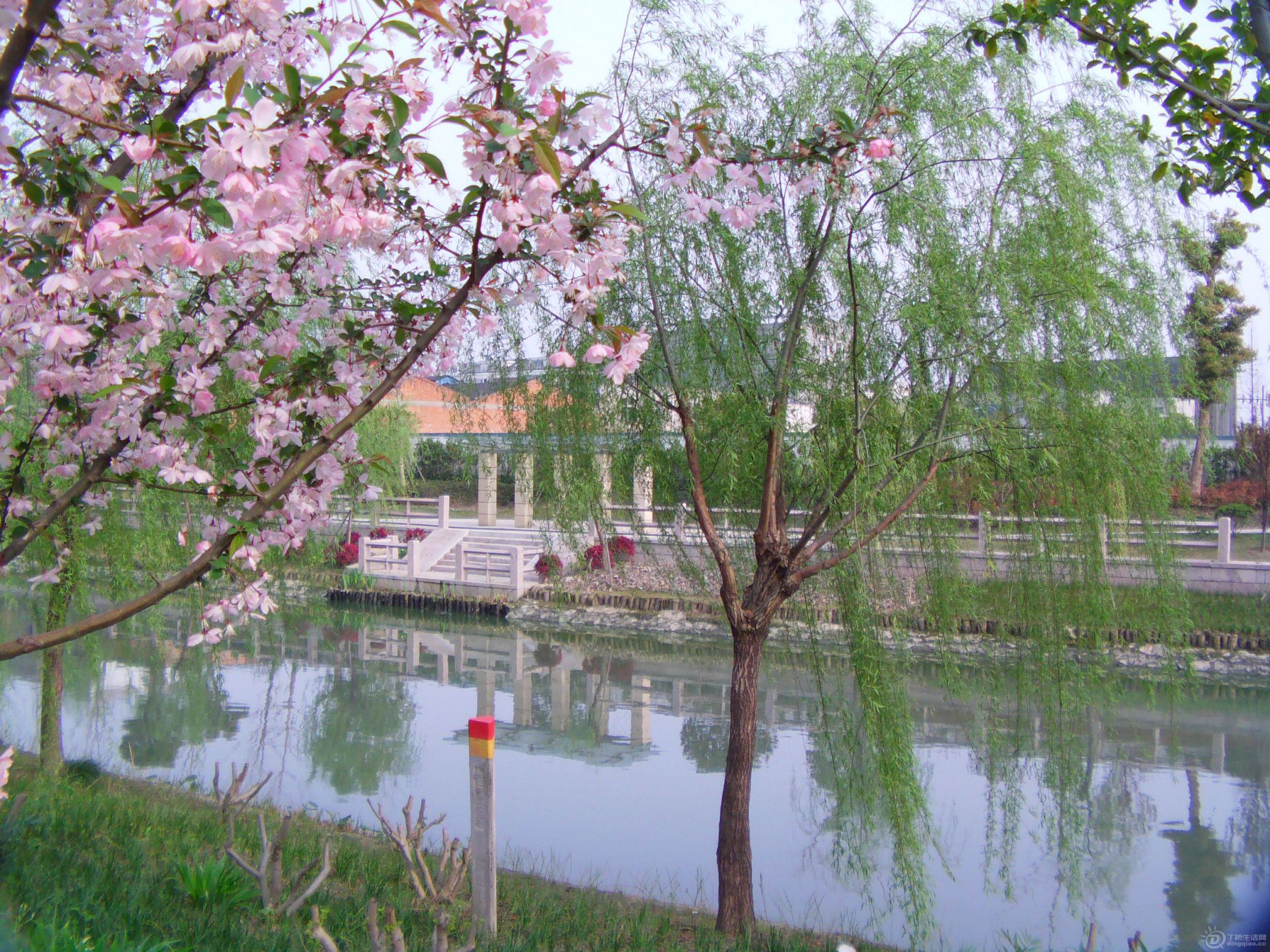 IMAG0229.JPG