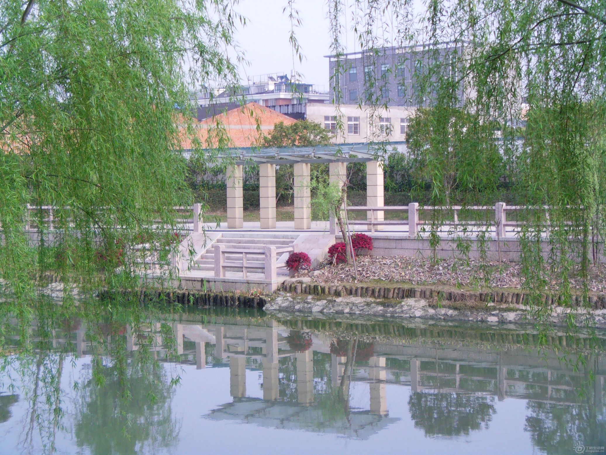 IMAG0230.JPG