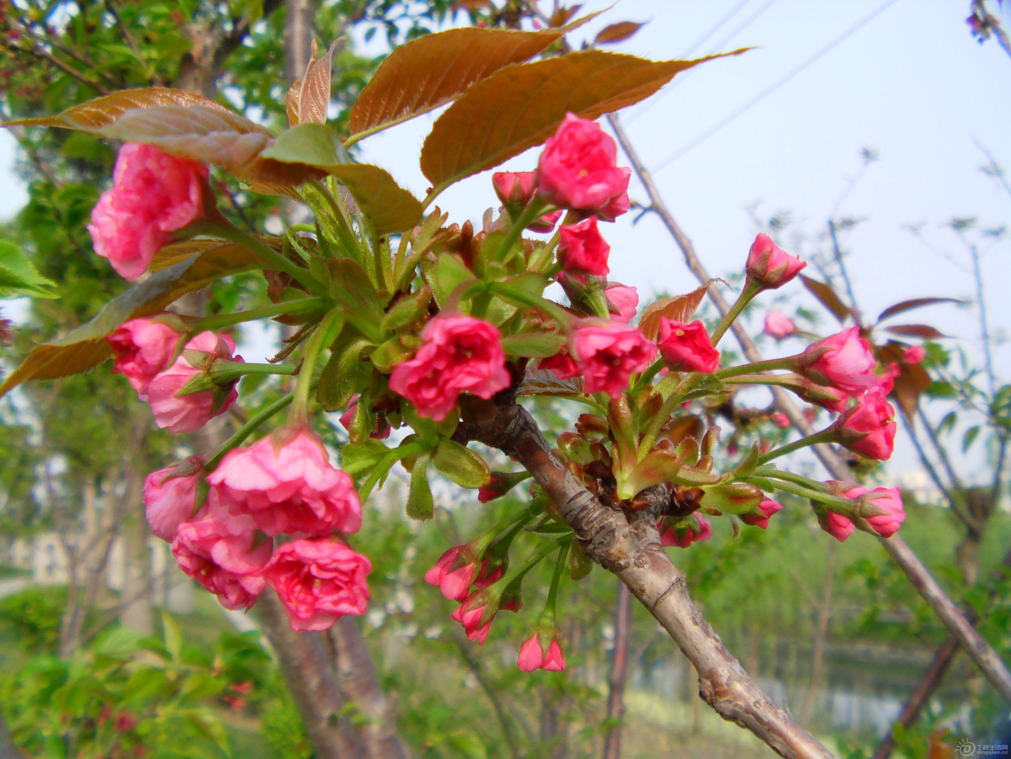 IMAG0235.JPG