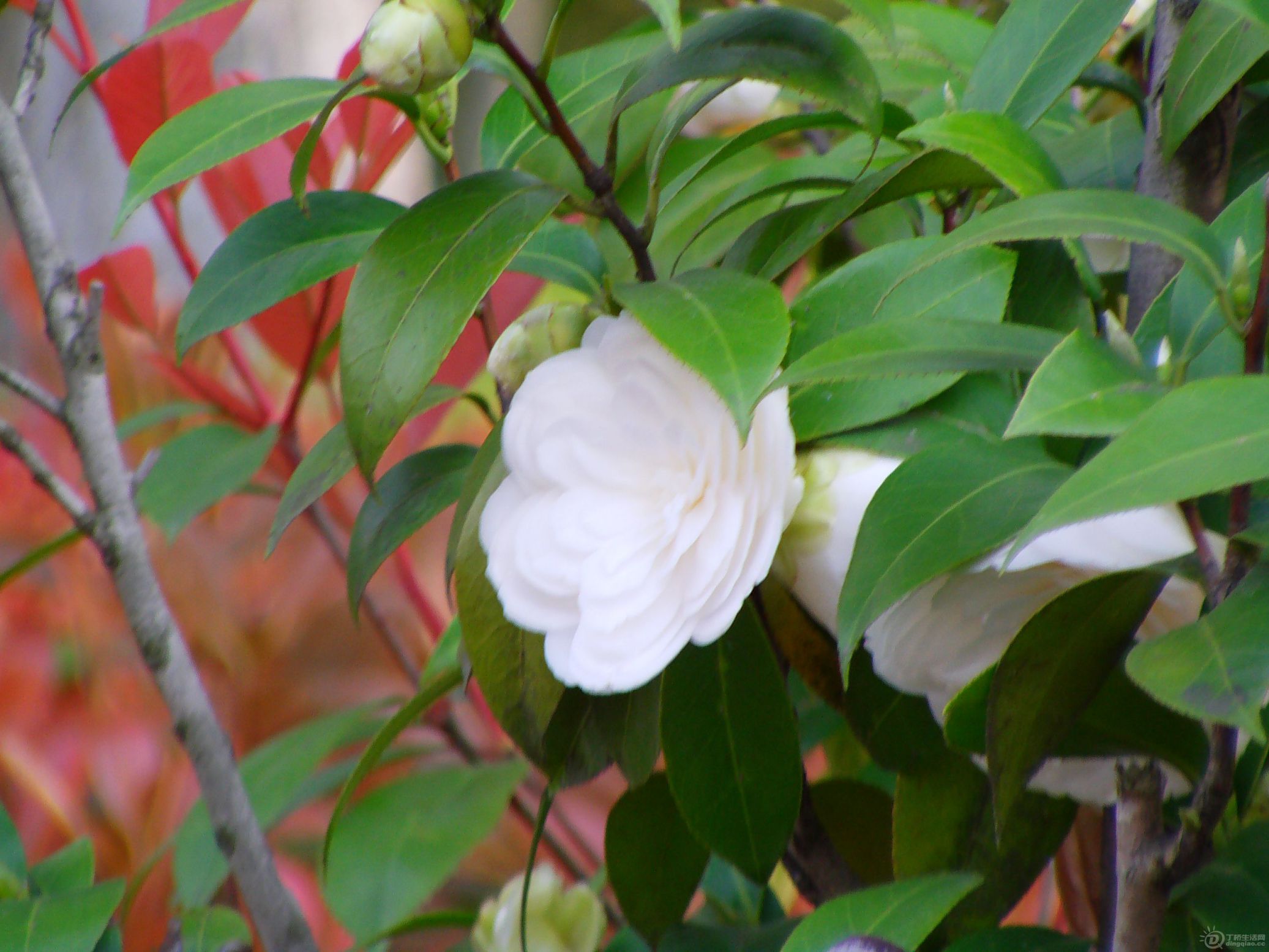 IMAG0264.JPG