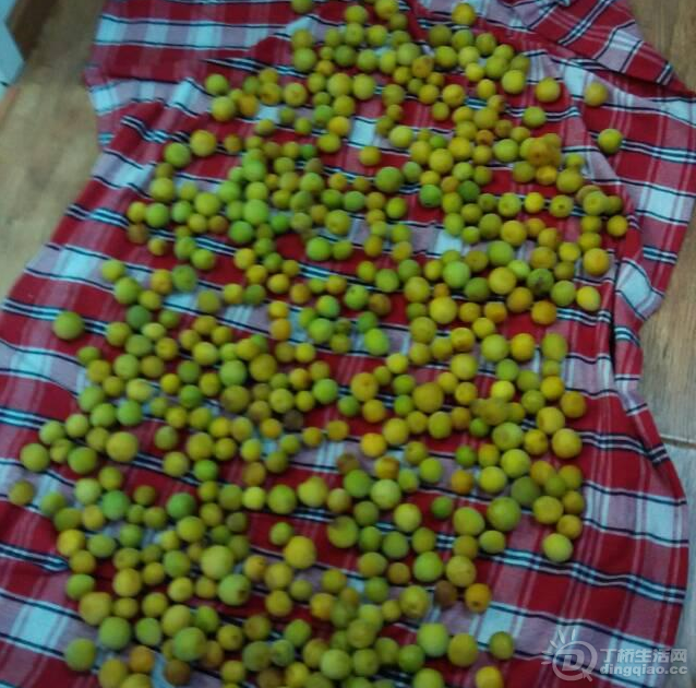 QQͼ20140530112144.png