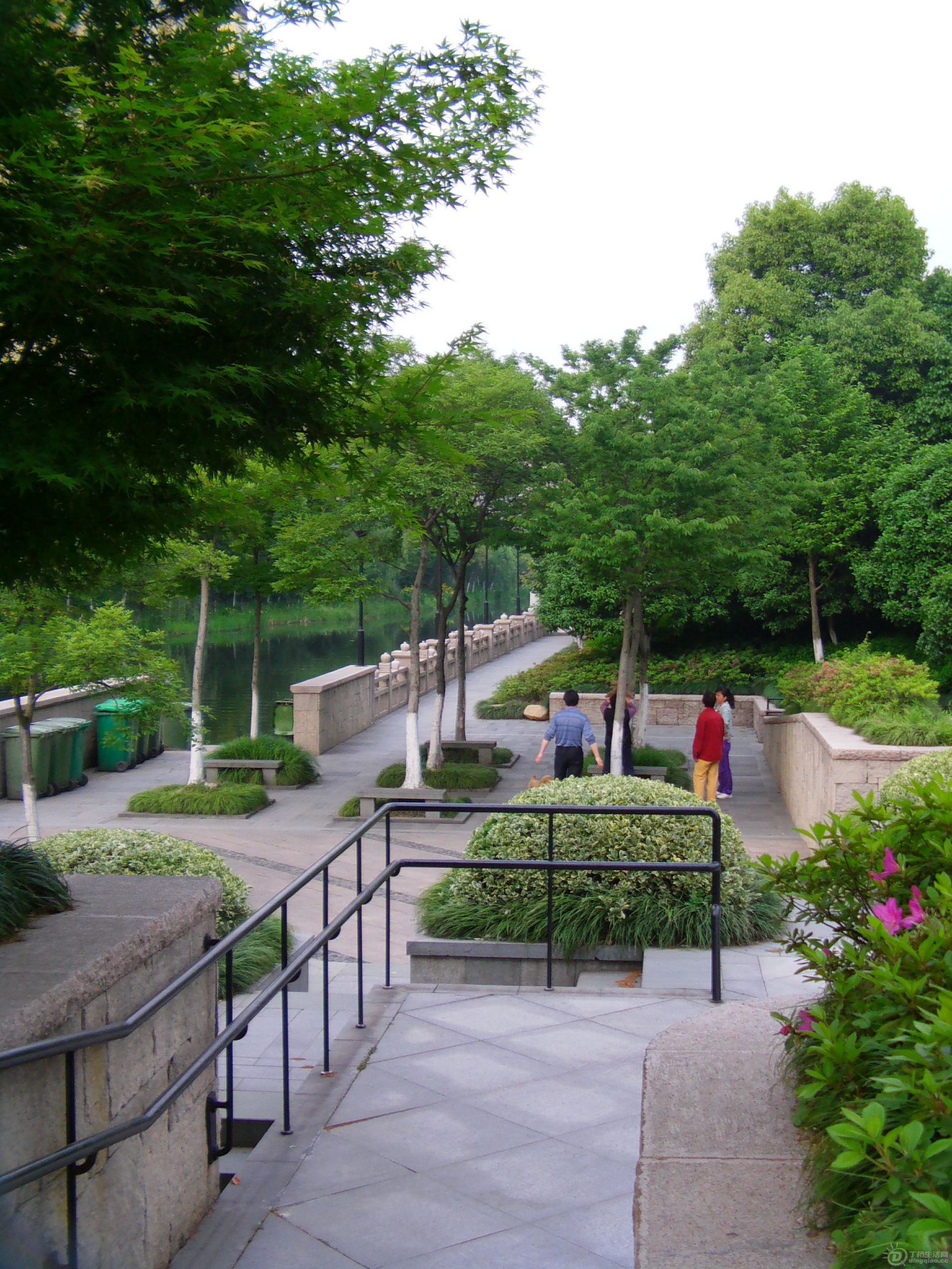 IMAG0678.JPG