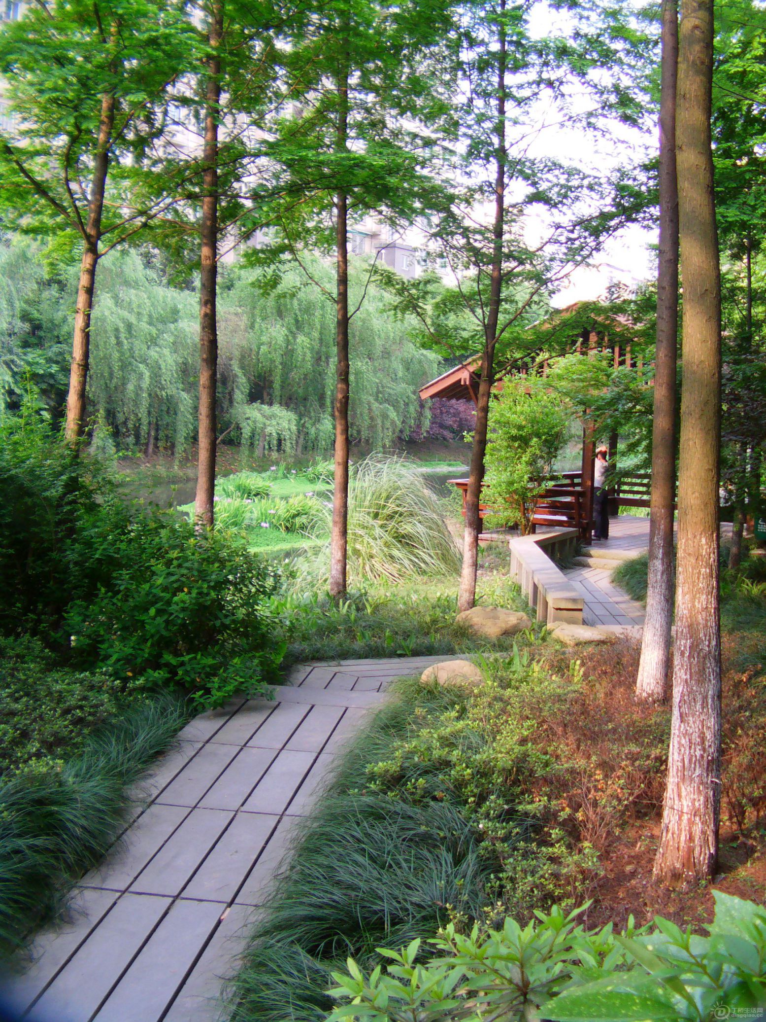 IMAG0685.JPG