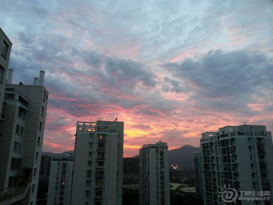 20140715_191048.jpg
