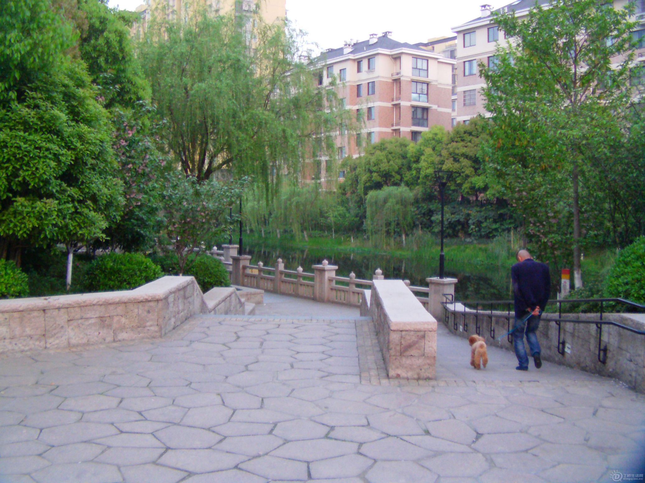 IMAG0367.JPG