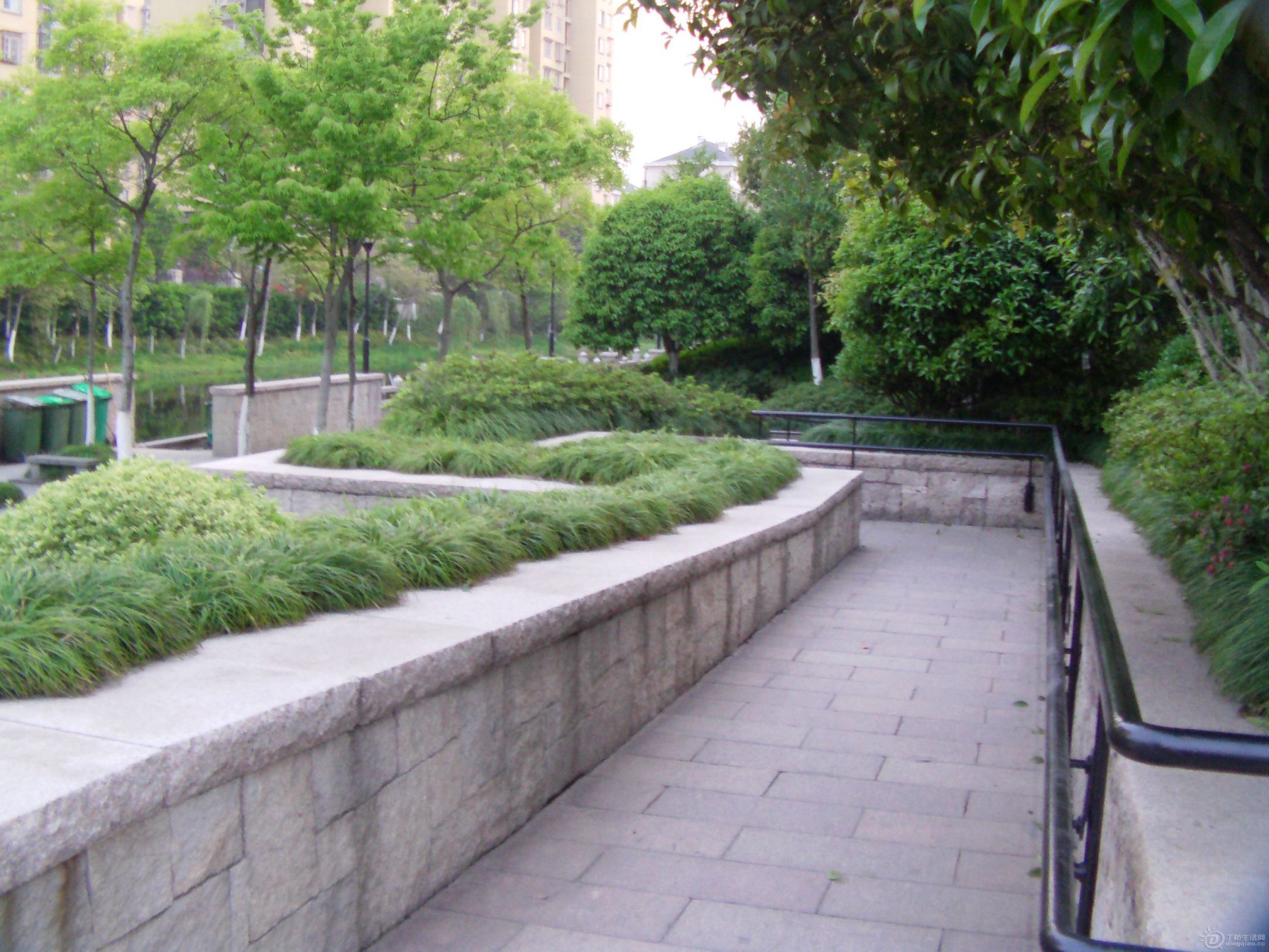 IMAG0373.JPG