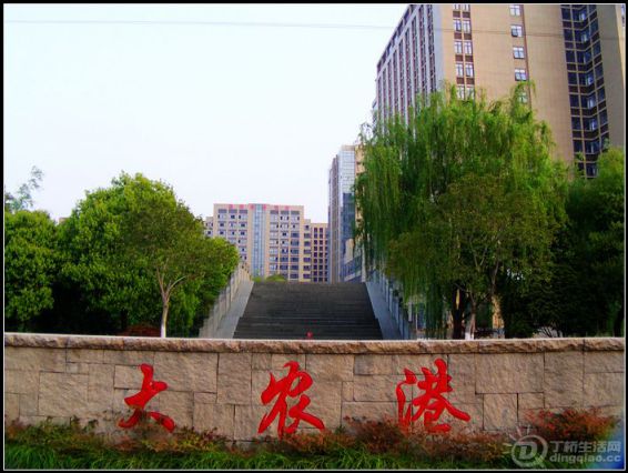 IMAG0335_.jpg