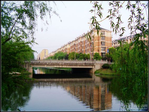 IMAG0341_.jpg